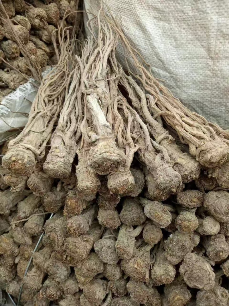 当归统货中两条全国发货欢迎联系质量优良
