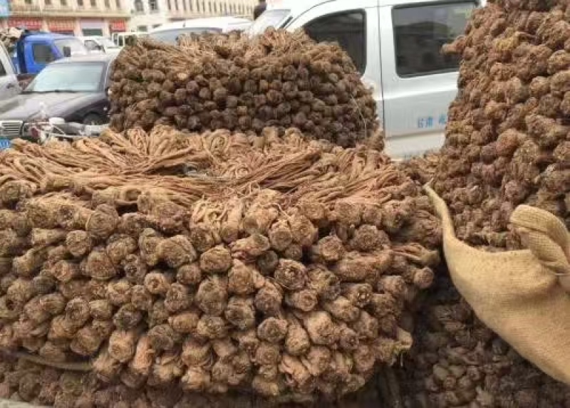 当归统货中两条全国发货欢迎联系质量优良