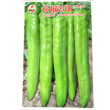 长椒208辣椒种子长果型辣椒种籽高产抗病长黄皮辣椒种子