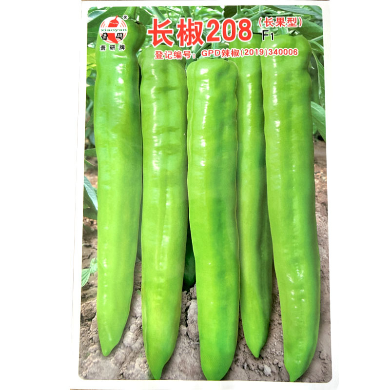长椒208辣椒种子长果型辣椒种籽高产抗病长黄皮辣椒种子