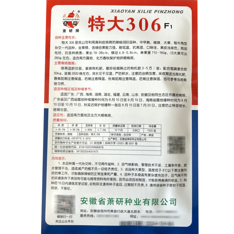 特大306大果牛角辣椒种子牛角椒菜椒泡椒春季秋季籽基地
