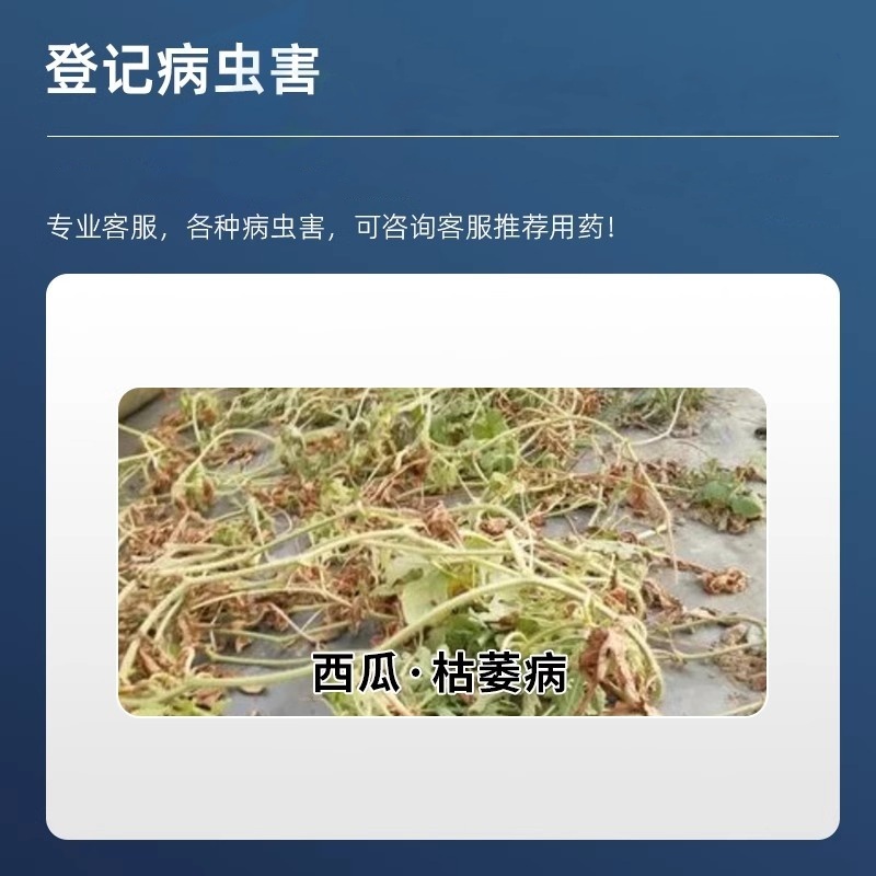 绿亨15%络氨铜西瓜辣椒枯萎病根腐病蔓枯病正品杀菌剂