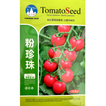 樱桃小番茄种子西红柿种子小果座果率高大田基地