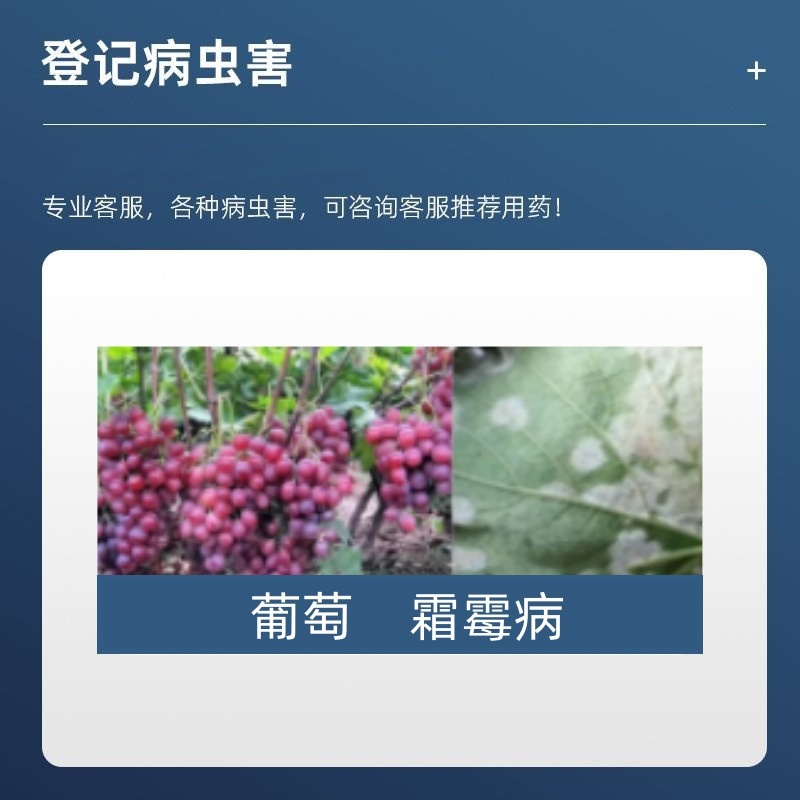 正品绿亨72%甲霜氧亚铜蔬菜果树葡萄霜霉病专用农药杀菌剂