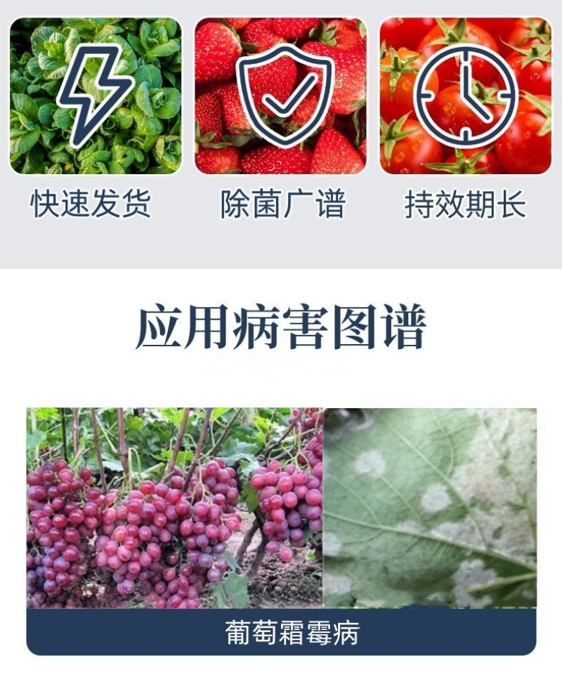 正品绿亨72%甲霜氧亚铜蔬菜果树葡萄霜霉病专用农药杀菌剂