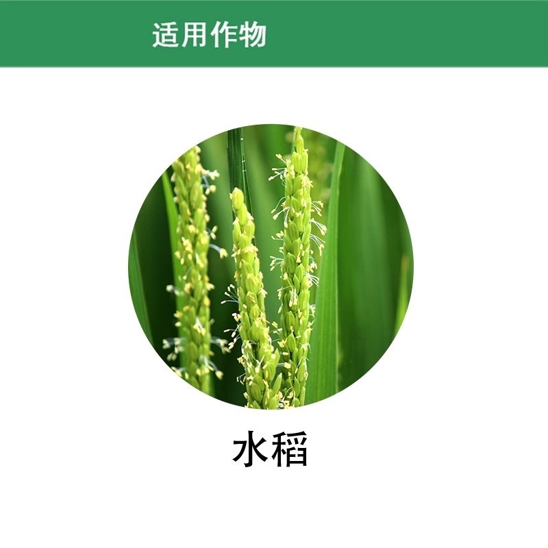 绿亨贝苗士3%正品甲霜恶霉灵噁霉灵水稻立枯病农药杀菌剂