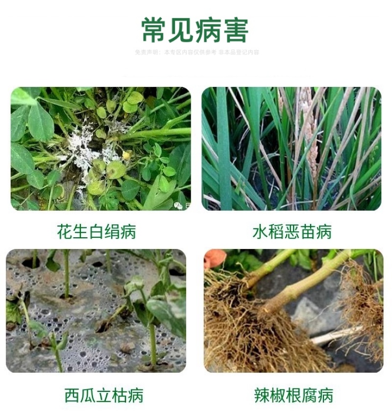 绿亨贝苗士3%正品甲霜恶霉灵噁霉灵水稻立枯病农药杀菌剂