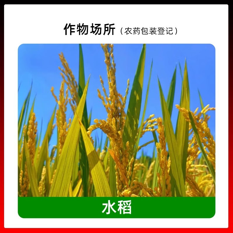 绿亨15%恶霉灵蔬菜辣椒花卉月季多肉枯萎立枯根腐病杀菌剂