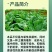 70%噁霉灵甜菜立枯病内吸土壤消毒恶霉灵绿亨化工杀菌剂