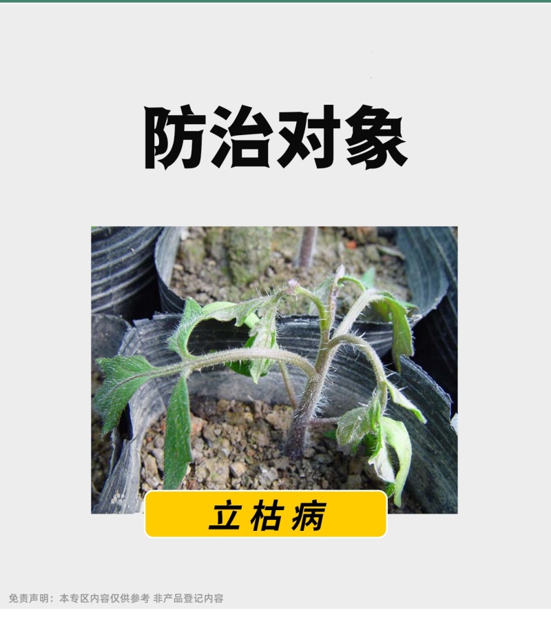 70%噁霉灵甜菜立枯病内吸土壤消毒恶霉灵绿亨化工杀菌剂