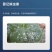 天津绿亨8%氟硅唑月季黄瓜黑痘病黑星病黑斑病白粉病杀菌剂