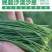 甘肃民勤县沙葱产地货源充足批发零售欢迎电话联系