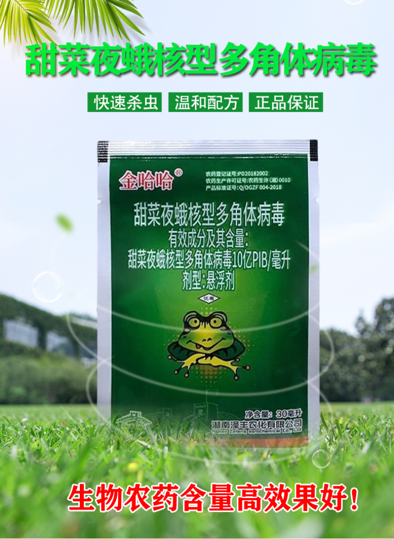 金哈哈杀虫剂甜菜夜蛾核型多角体病毒蔬菜请斜纹夜蛾棉铃虫杀
