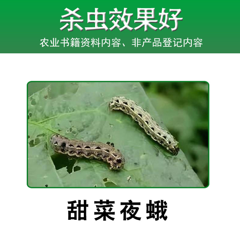 金哈哈杀虫剂甜菜夜蛾核型多角体病毒蔬菜请斜纹夜蛾棉铃虫杀
