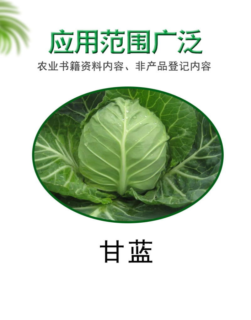 金哈哈杀虫剂甜菜夜蛾核型多角体病毒蔬菜请斜纹夜蛾棉铃虫杀