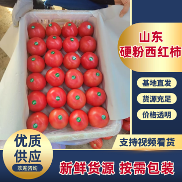 【推荐】硬粉西红柿，常年供应耐运输颜色好欢迎来电订购