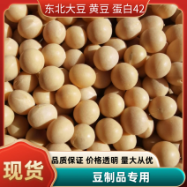 东北豆蛋白42水分10，非转基因黄豆豆制品，豆浆腐竹专用