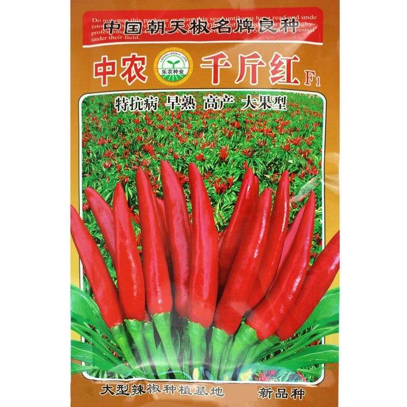 中农千斤红朝天椒种子早熟抗病大果型簇生撮大味辣