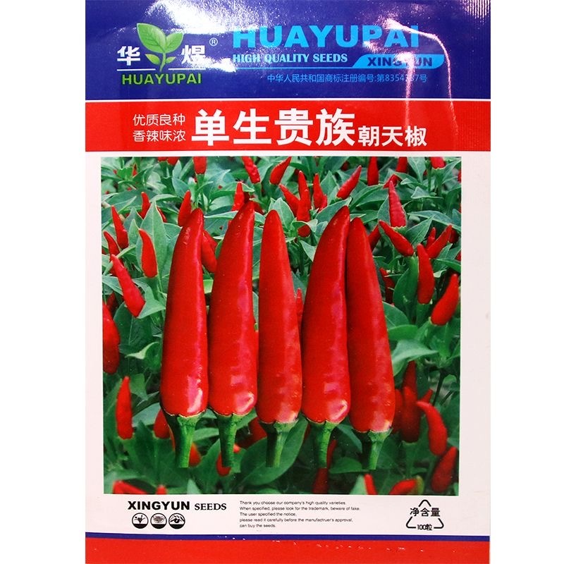 单生贵族朝天椒种子香辣味浓单生辣度强抗病