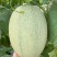 【实力推荐】晓蜜25哈密瓜（季节下市）