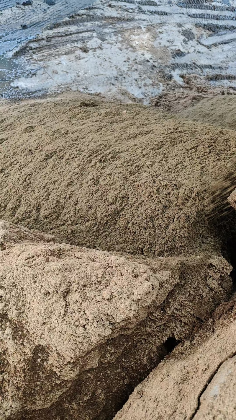 绍兴诸暨市脱水猪粪，不脱水湿猪粪大量现货速发