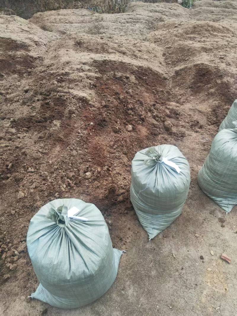 绍兴诸暨市脱水猪粪，不脱水湿猪粪大量现货速发