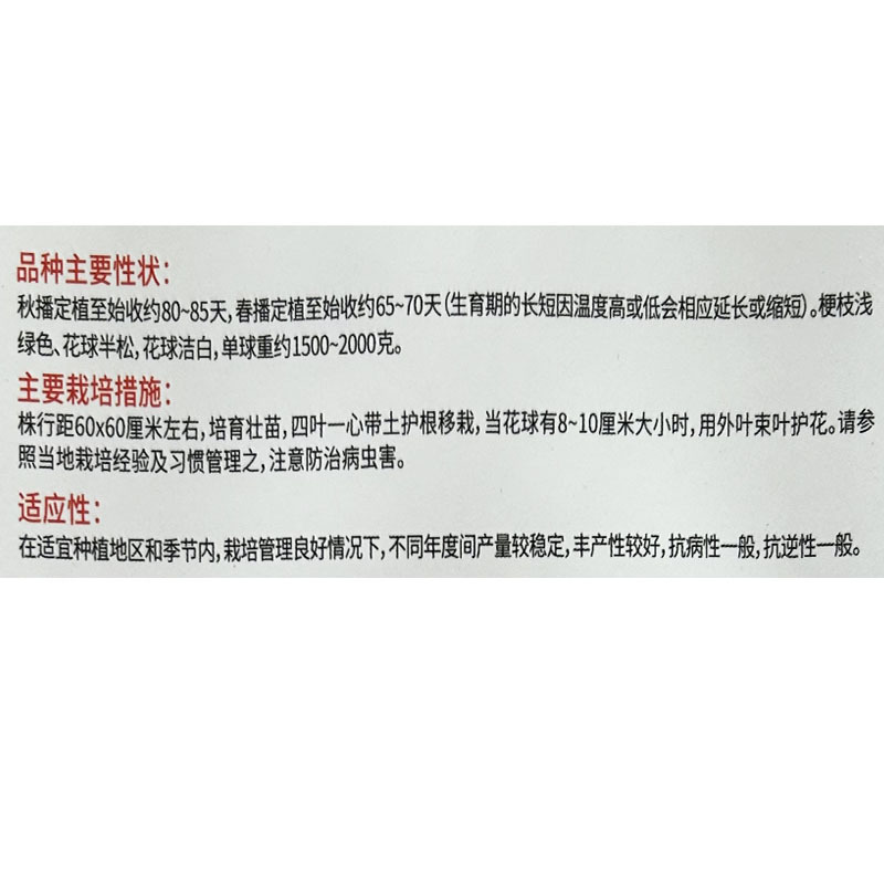 高抗青梗80天松花菜种子力禾抗青梗松花菜白花基地种植