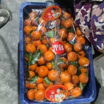 精品广西砂糖橘，品质保证，价格优惠，实力精选，诚信第一