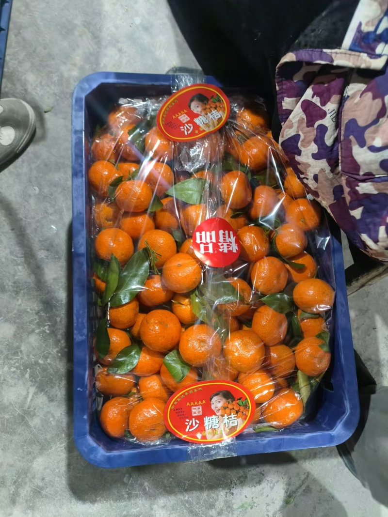 精品广西砂糖橘，品质保证，价格优惠，实力精选，诚信第一