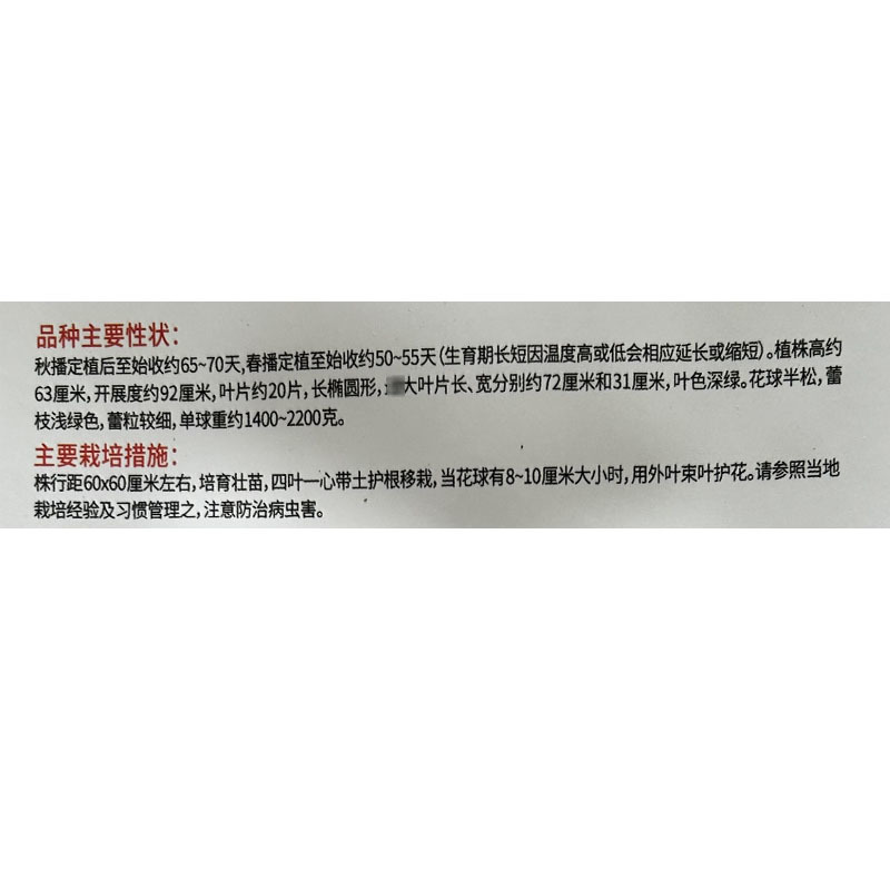 新力禾65天菜花白花菜种子10g花球半松蕾粒较细基地