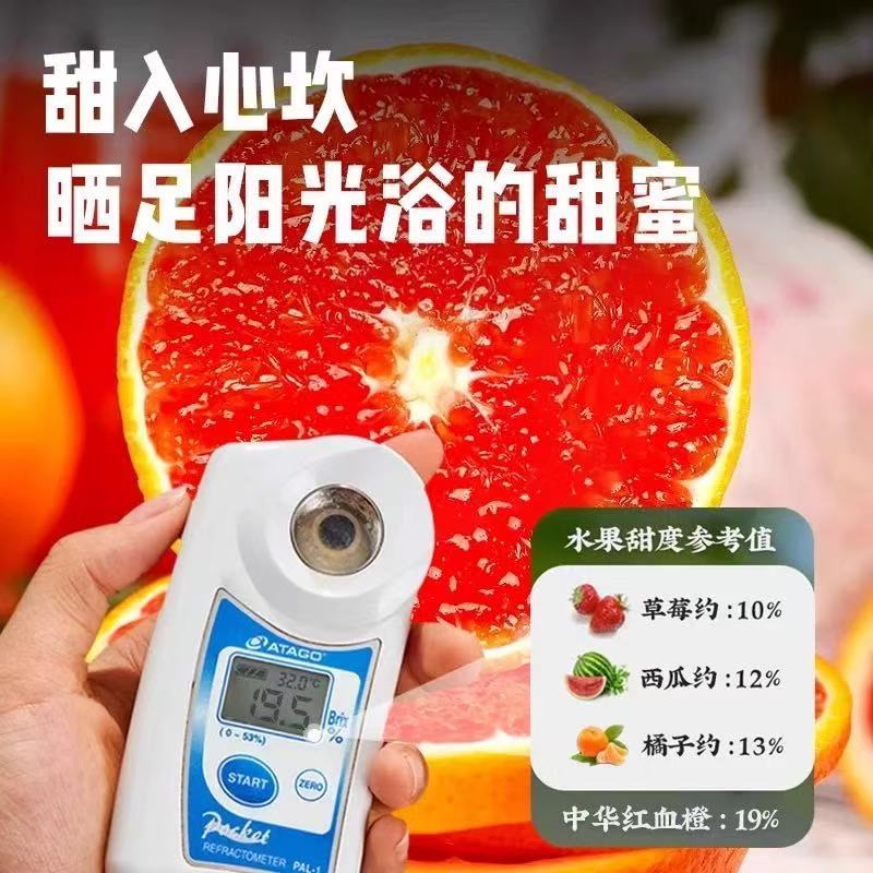 血橙热卖中宜昌红橙产地直发量大价优对接全国客商欢迎致电咨