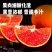 血橙热卖中宜昌红橙产地直发量大价优对接全国客商欢迎致电咨