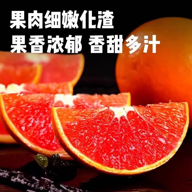 血橙热卖中宜昌红橙产地直发量大价优对接全国客商欢迎致电咨