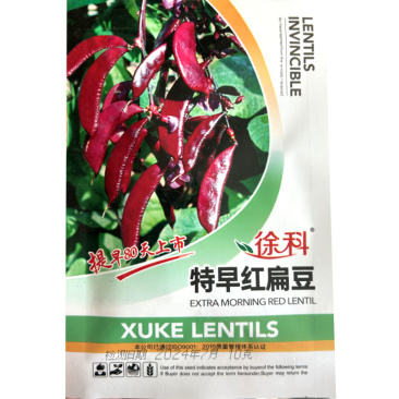 红扁豆种子特早梅豆籽10g耐热结果多南北方四季种植