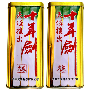 章丘大葱种子天任十年剑高葱白硬度高铁杆抗病耐倒伏基地