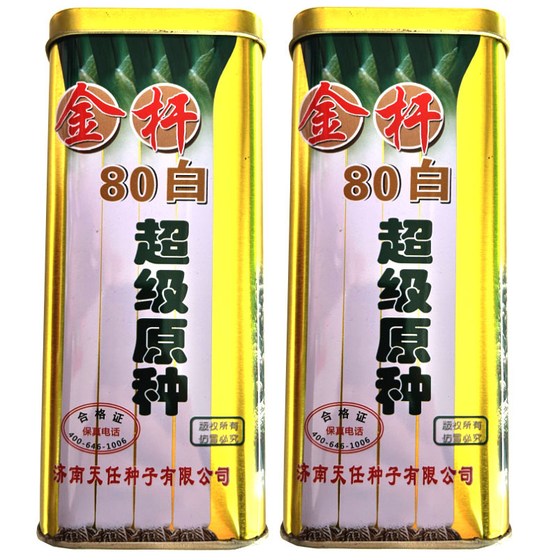 章丘大葱种子金杆80白原种抗病强抗倒伏大田基地种植