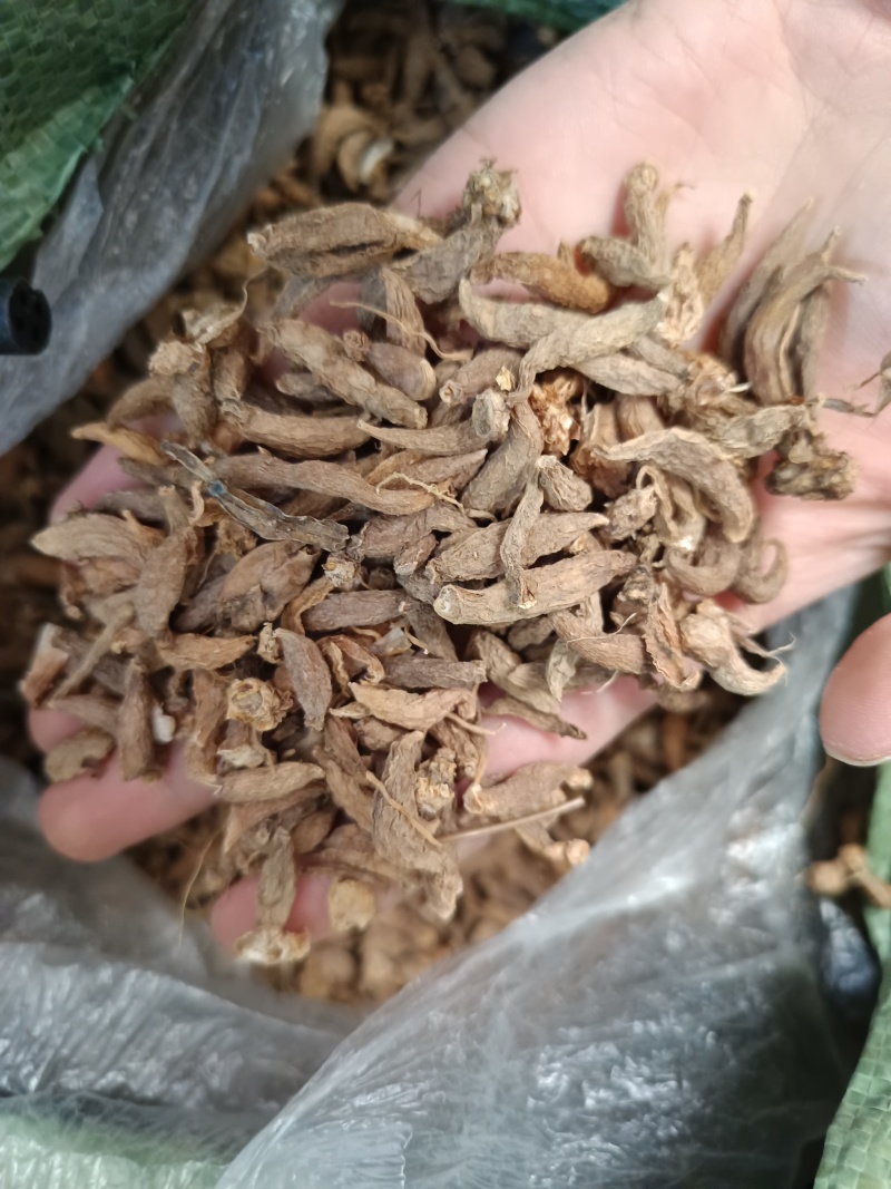 童子参象牙参大货批发