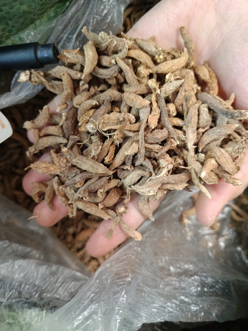 童子参象牙参大货批发