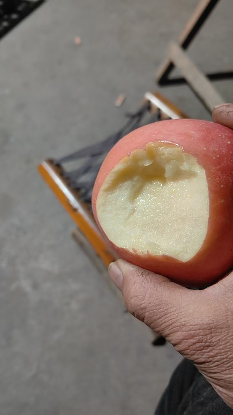 【热卖】精品红富士苹果产地直发一手货源代发全国可看货