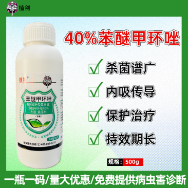 40%苯醚甲环唑蔬菜西瓜炭疽病专用农药杀菌剂