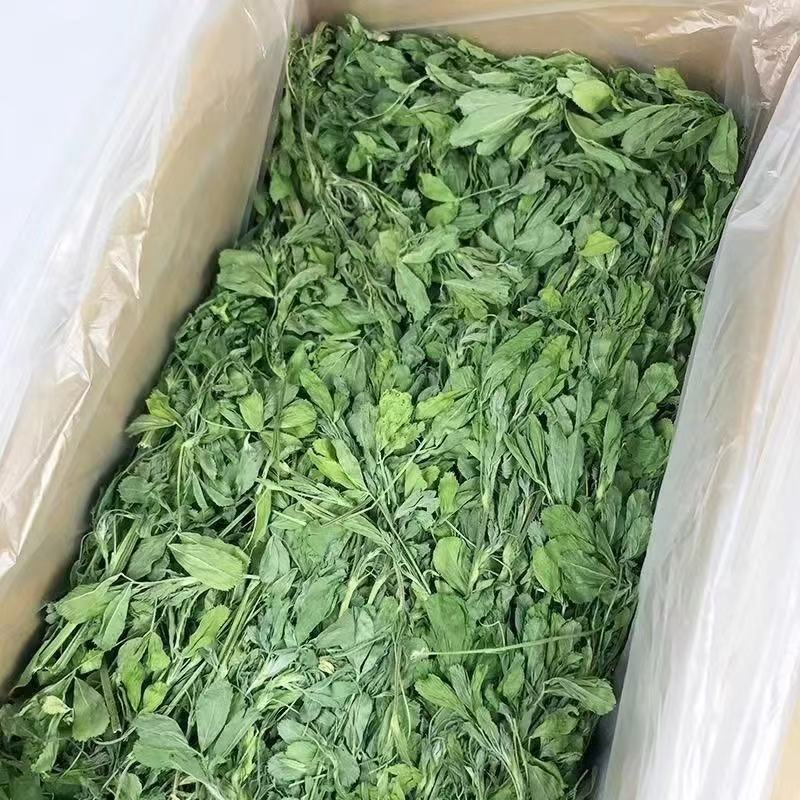 烘干苜蓿草自家货源品质保障价格美丽欢迎电话咨询