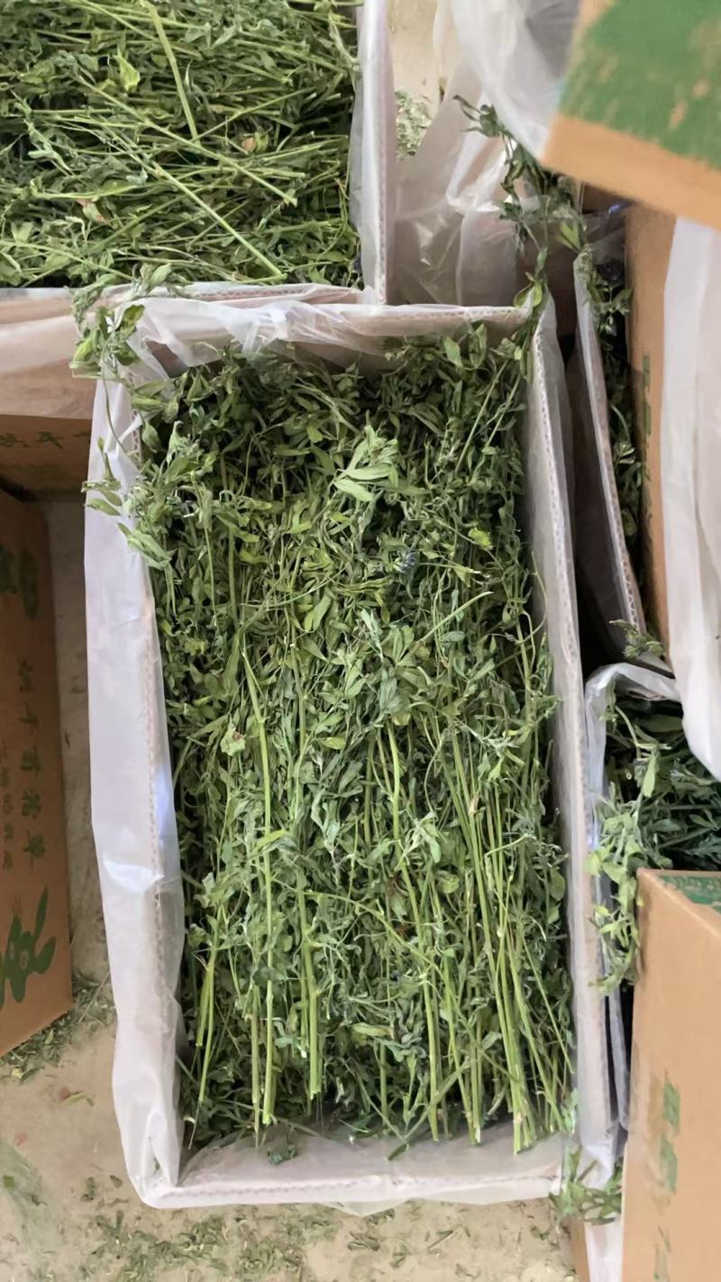 烘干苜蓿草自家货源品质保障价格美丽欢迎电话咨询