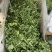 烘干苜蓿草自家货源品质保障价格美丽欢迎电话咨询