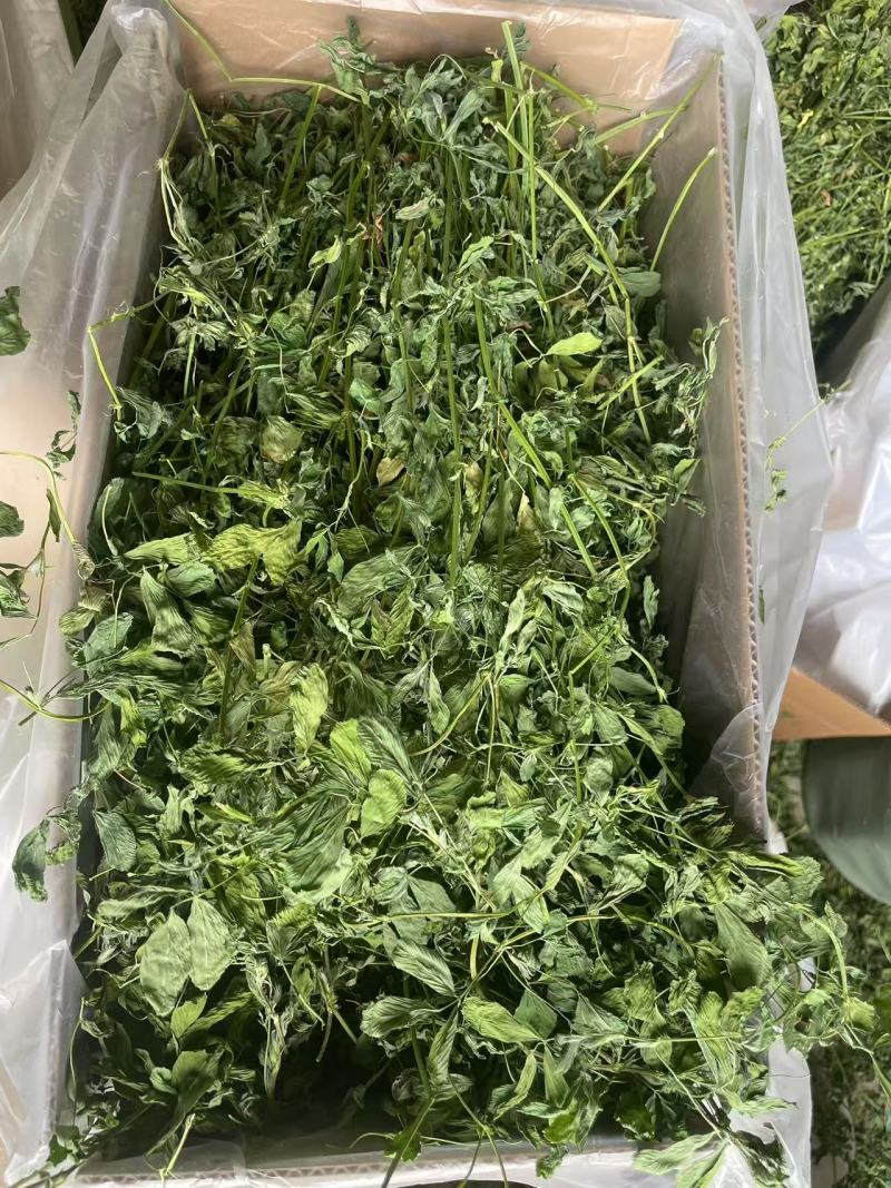 烘干苜蓿草自家货源品质保障价格美丽欢迎电话咨询