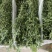 烘干苜蓿草自家货源品质保障价格美丽欢迎电话咨询