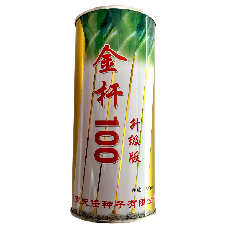 章丘大葱种子金杆100葱白长60-80厘米抗病葱农种