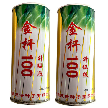 章丘大葱种子金杆100葱白长60-80厘米抗病葱农种