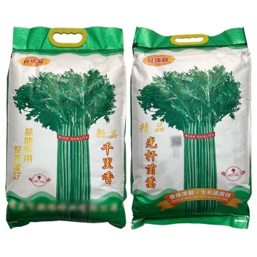光杆茼蒿种子叶色浓绿香味浓郁生长速度快