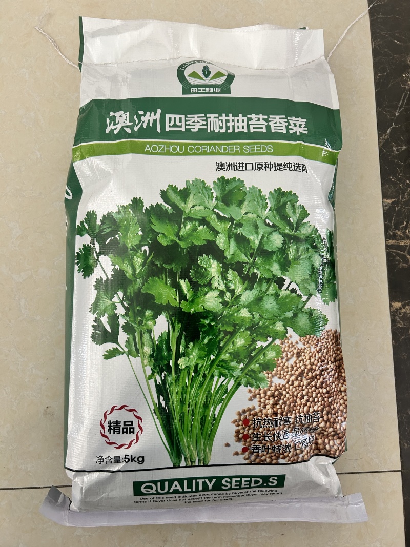 光杆茼蒿种子叶色浓绿香味浓郁生长速度快