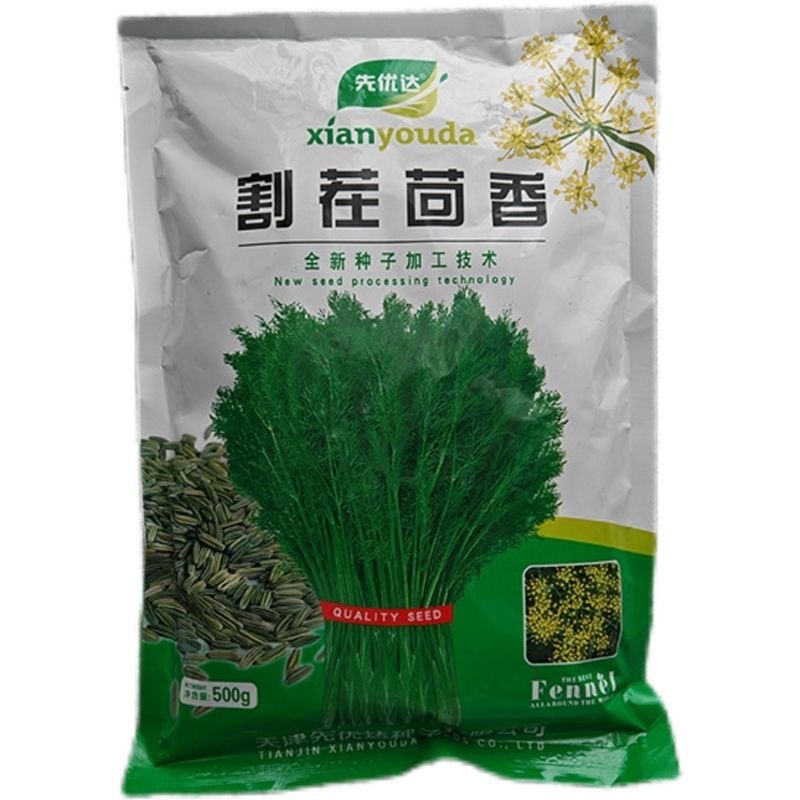 割茬茴香种子四季播农家高产大包装小茴香籽菜园春夏耐热蔬菜